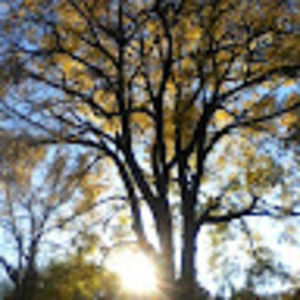 Meet your Posher, Georgia